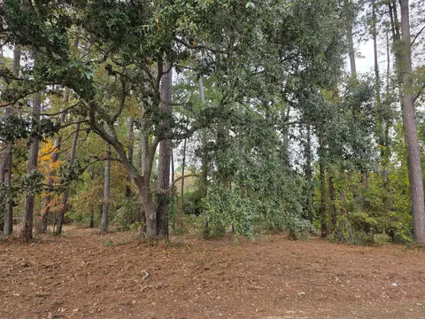 110 Cooper Dr, Santee, SC 29142 photo 5