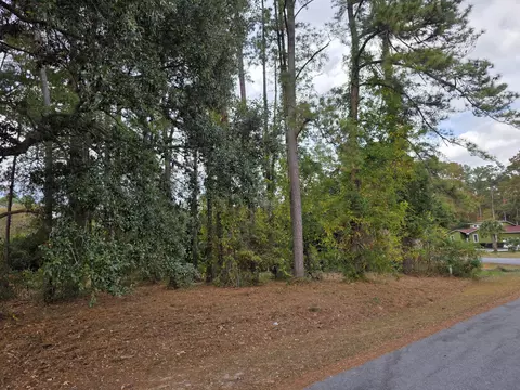 110 Cooper Dr, Santee, SC 29142 photo 7