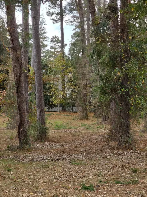 110 Cooper Dr, Santee, SC 29142 photo 10