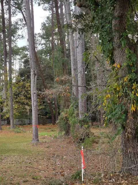110 Cooper Dr, Santee, SC 29142 photo 11