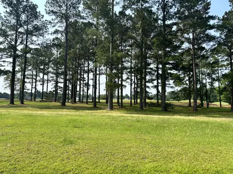 421 Pinelake Ct, Manning, SC 29102