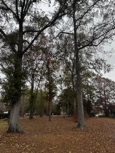 254 Ridge Lake Dr, Manning, SC 29102