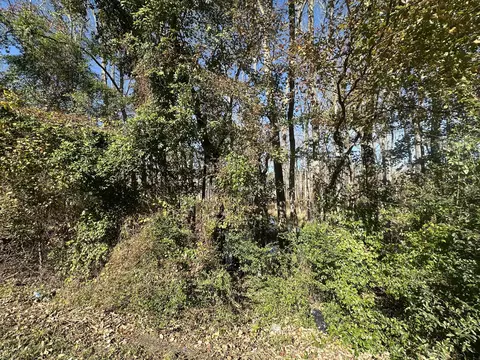 00 Five Chop Rd, Elloree, SC 29047 photo 6