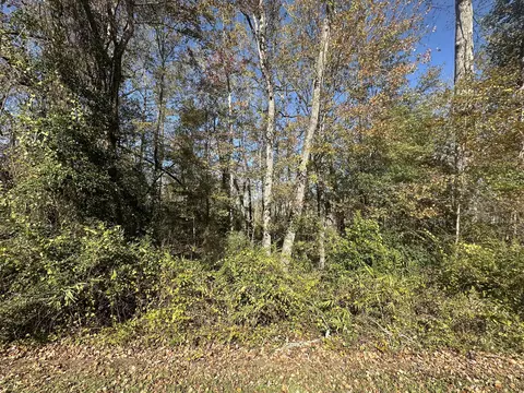 00 Five Chop Rd, Elloree, SC 29047 photo 5