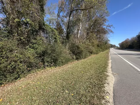 00 Five Chop Rd, Elloree, SC 29047 photo 3
