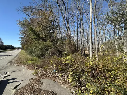 00 Five Chop Rd, Elloree, SC 29047