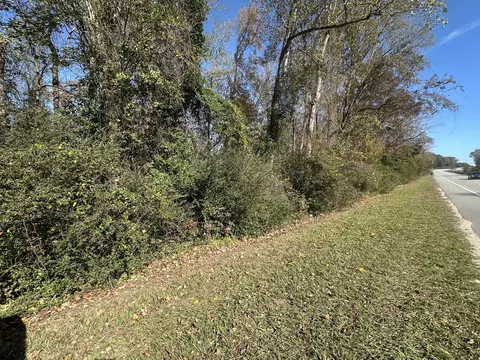 00 Five Chop Rd, Elloree, SC 29047 photo 4