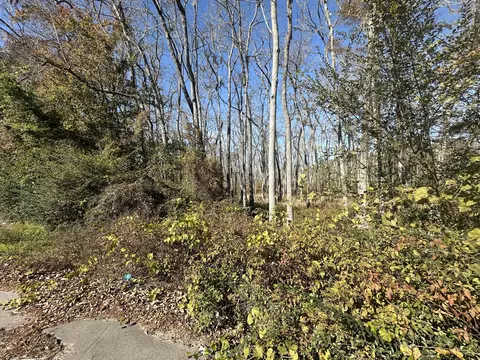 00 Five Chop Rd, Elloree, SC 29047 photo 2