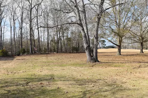 42 N Lake Cir, Manning, SC 29102