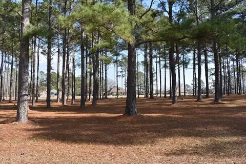 400 Pinelake Ct, Manning, SC 29102