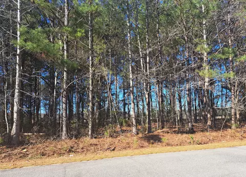 01 Antioch Rd, Santee, SC 29142