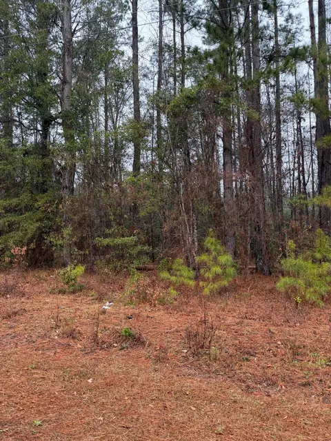 0 Neds Cv, Santee, SC 29142