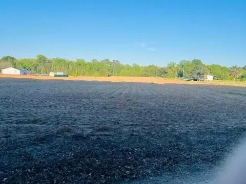 2552 Joseph Lemon Dingle Rd, Manning, SC 29102