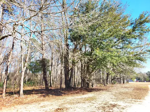 lot1 Santee Lumber Rd, Santee, SC 29142