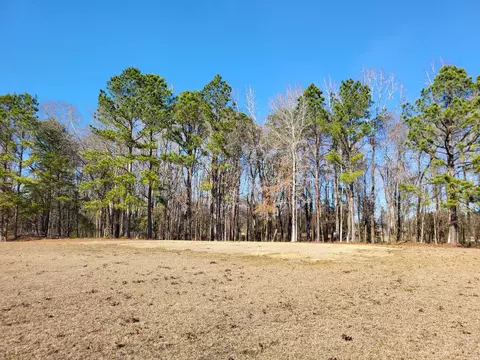 lot2 Santee Lumber Rd, Santee, SC 29142