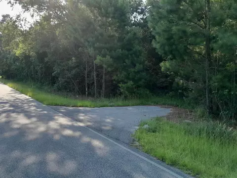 0 Near Thomas Walters Rd, Cross, SC 29436