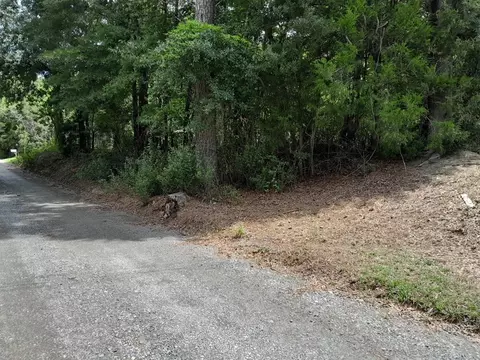 0 E Macs Landing Rd, Cross, SC 29436 photo 3