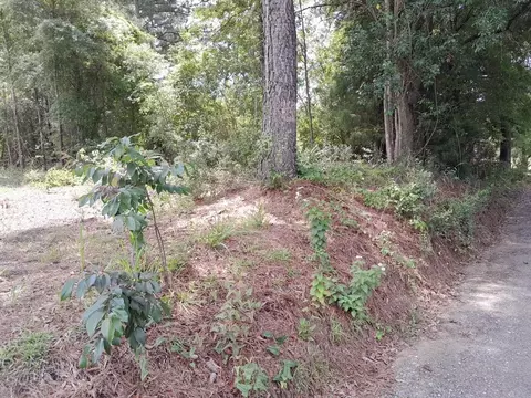 0 E Macs Landing Rd, Cross, SC 29436 photo 4
