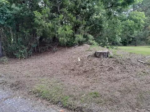 0 E Macs Landing Rd, Cross, SC 29436 photo 2