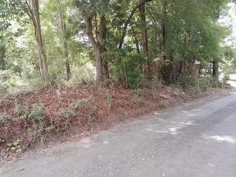 0 E Macs Landing Rd, Cross, SC 29436