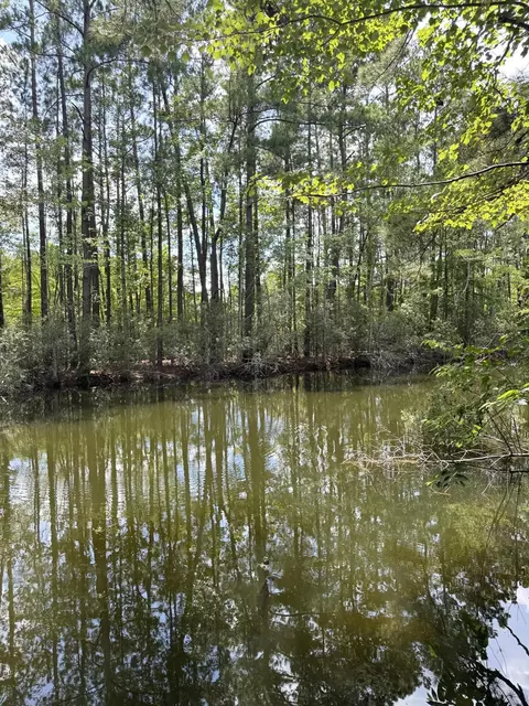 153 Rutledge Dr, Eutawville, SC 29048