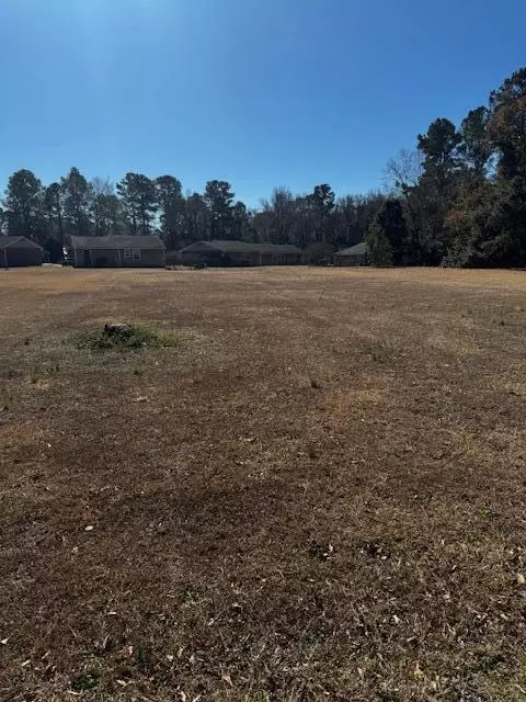 tbd W Huggins St, Manning, SC 29102 photo 5