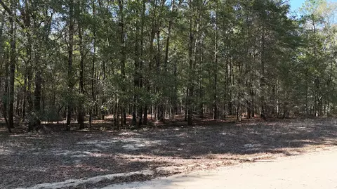 1163 Edisto St, Summerton, SC 29148
