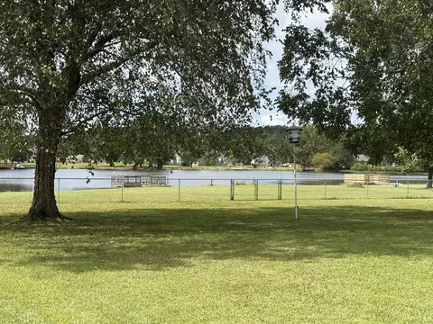 View/Area - 485 Emerald Lake Dr, Sumter, SC 29153 photo 4 of 19