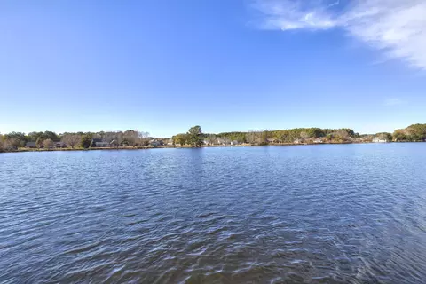 View/Area - 485 Emerald Lake Dr, Sumter, SC 29153 photo 9 of 19