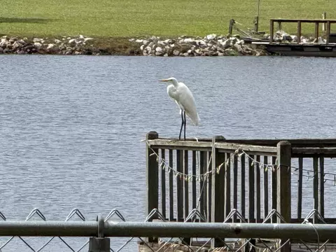 View/Area - 485 Emerald Lake Dr, Sumter, SC 29153 photo 5 of 19
