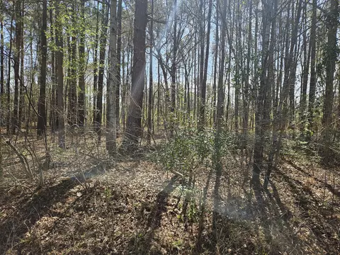lot1 Benbow, Summerton, SC 29148