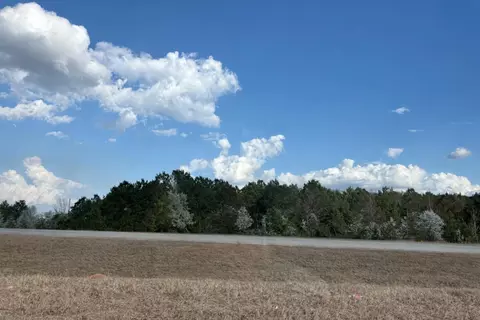 0 Five Chop Rd, Santee, SC 29142 photo 5