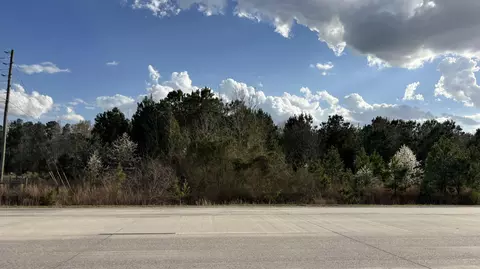 0 Five Chop Rd, Santee, SC 29142 photo 2