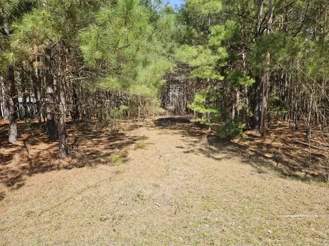 1382 Brandywine, Summerton, SC 29148