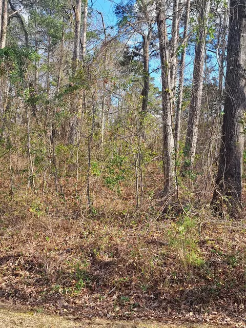 1 Plantation Dr, Santee, SC 29142
