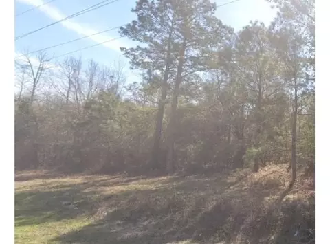 0 Moses Dingle Rd, Manning, SC 29102