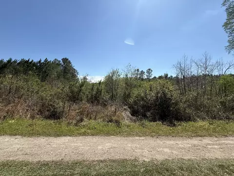 tbd Pine Bark Ln, Hemingway, SC 29554