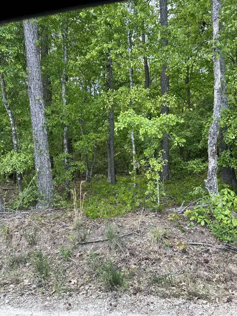 5120 Benenhaley Rd, Dalzell, SC 29040