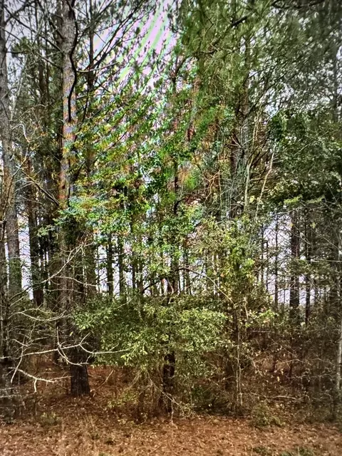 60 Olin Goode Dr, Sumter, SC 29153 photo 2