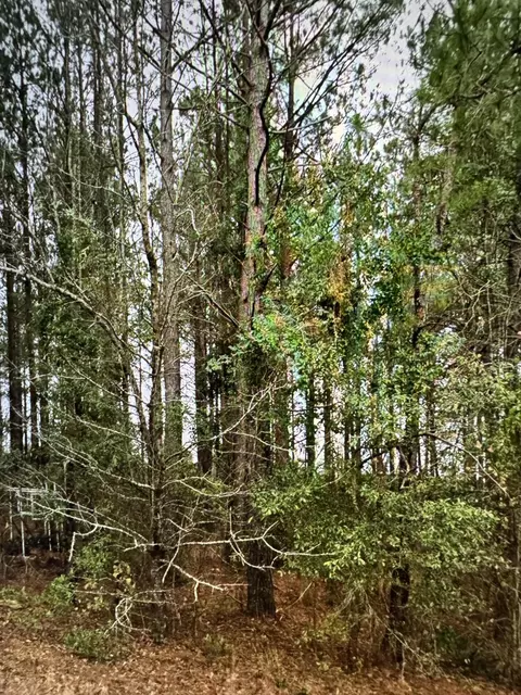 60 Olin Goode Dr, Sumter, SC 29153