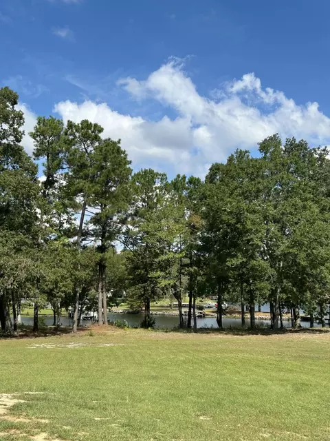 1277 Ackerman Dr, Summerton, SC 29148 photo 32