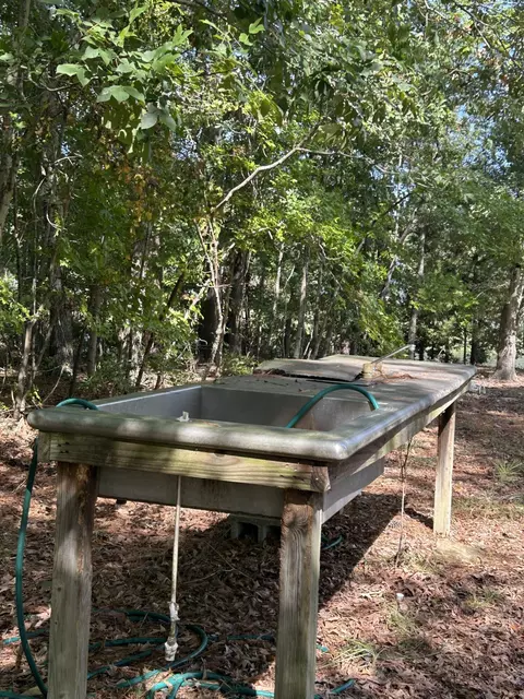 1277 Ackerman Dr, Summerton, SC 29148 photo 28