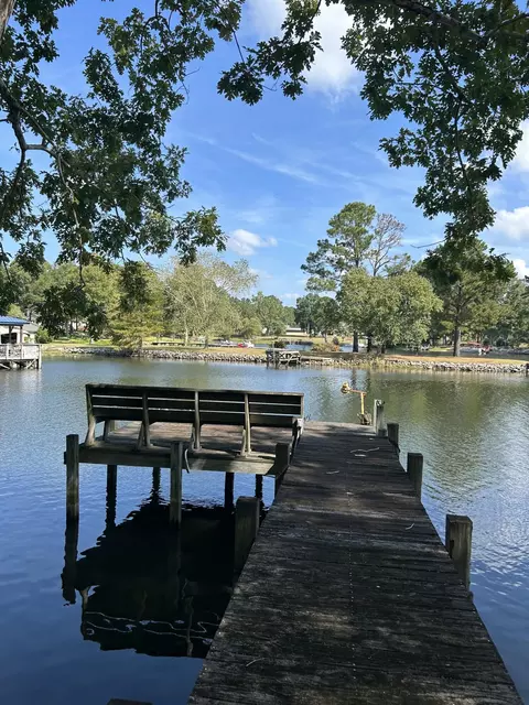 1277 Ackerman Dr, Summerton, SC 29148