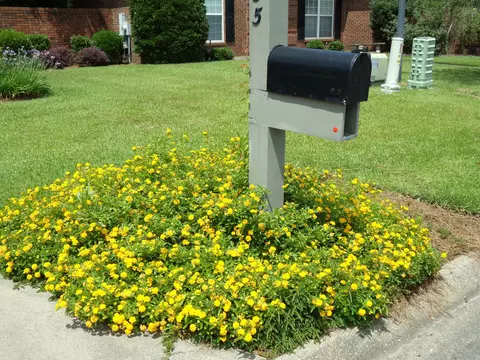 Other - 755 E Glouchester Dr, Sumter, SC 29150 photo 1 of 4