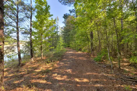 Other - 545 Brutsch Ave, Sumter, SC 29154 photo 3 of 15