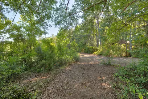 Exterior - 545 Brutsch Ave, Sumter, SC 29154 photo 5 of 8