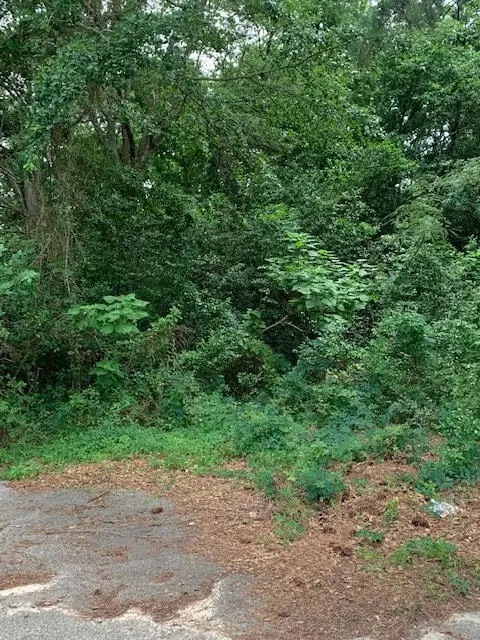 757 Maney St, Sumter, SC 29150 photo 3