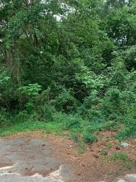 757 Maney St, Sumter, SC 29150 photo 2