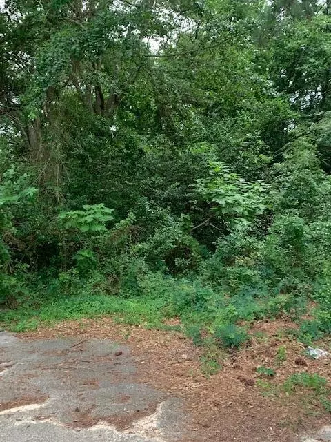 757 Maney St, Sumter, SC 29150 photo 5