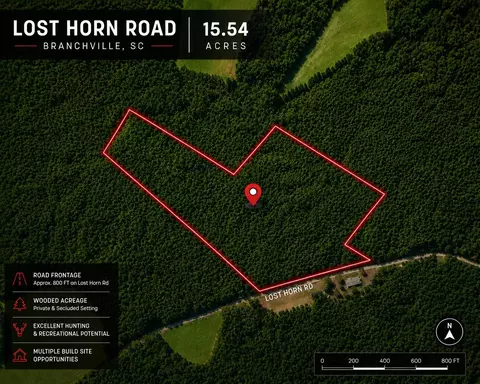 1 Lost Horn Rd, Branchville, SC 29432